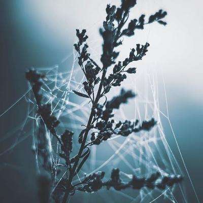 星空游戏手机app下载截图