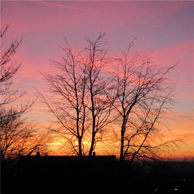 爱体育APP下载手机版